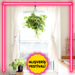 Mutfak Tülden Fon Perde