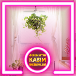 Mutfak Tülden Fon Perde