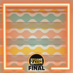 Geometrik Desen Baskılı Zebra Perde