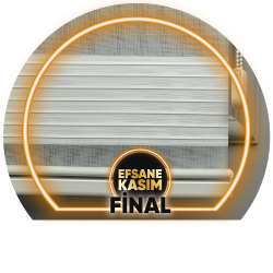 Zebra Perde Pileli Düz (Plise)