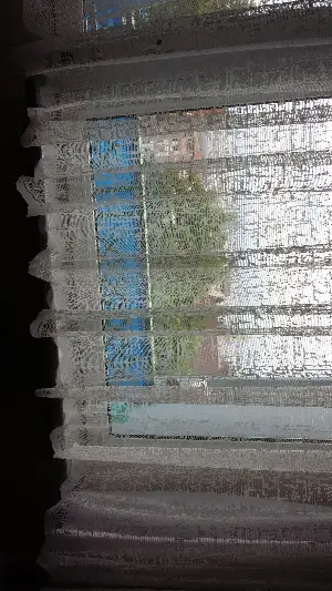 Müşteri görseli