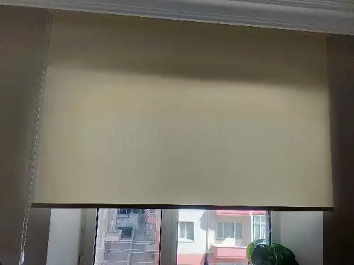 2446903