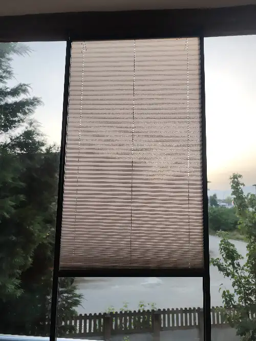 2794403