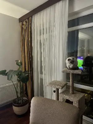 Müşteri görseli