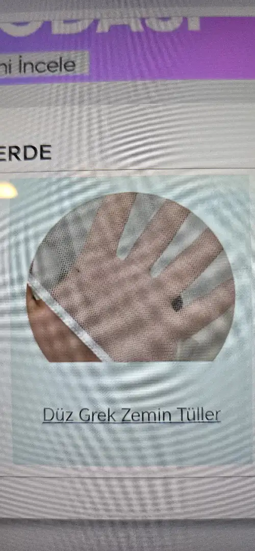 2771557