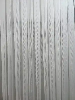 Leor Zırh Güneş Işığında Parlayan Tül Perde - Sedef