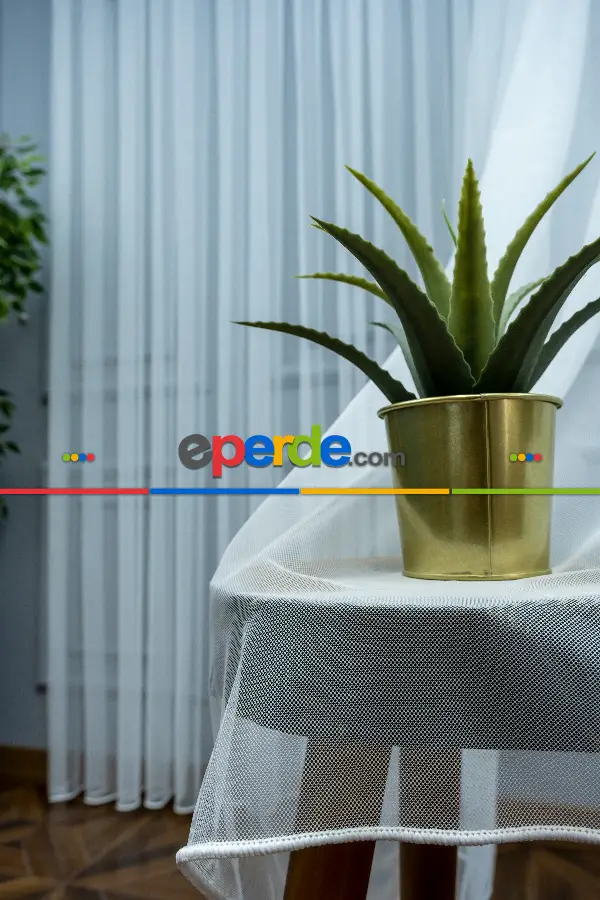 Salon Tül - 1. Kalite Dream Tül Düz Zemin - Ekru ( Ertesi Gün Kargo )