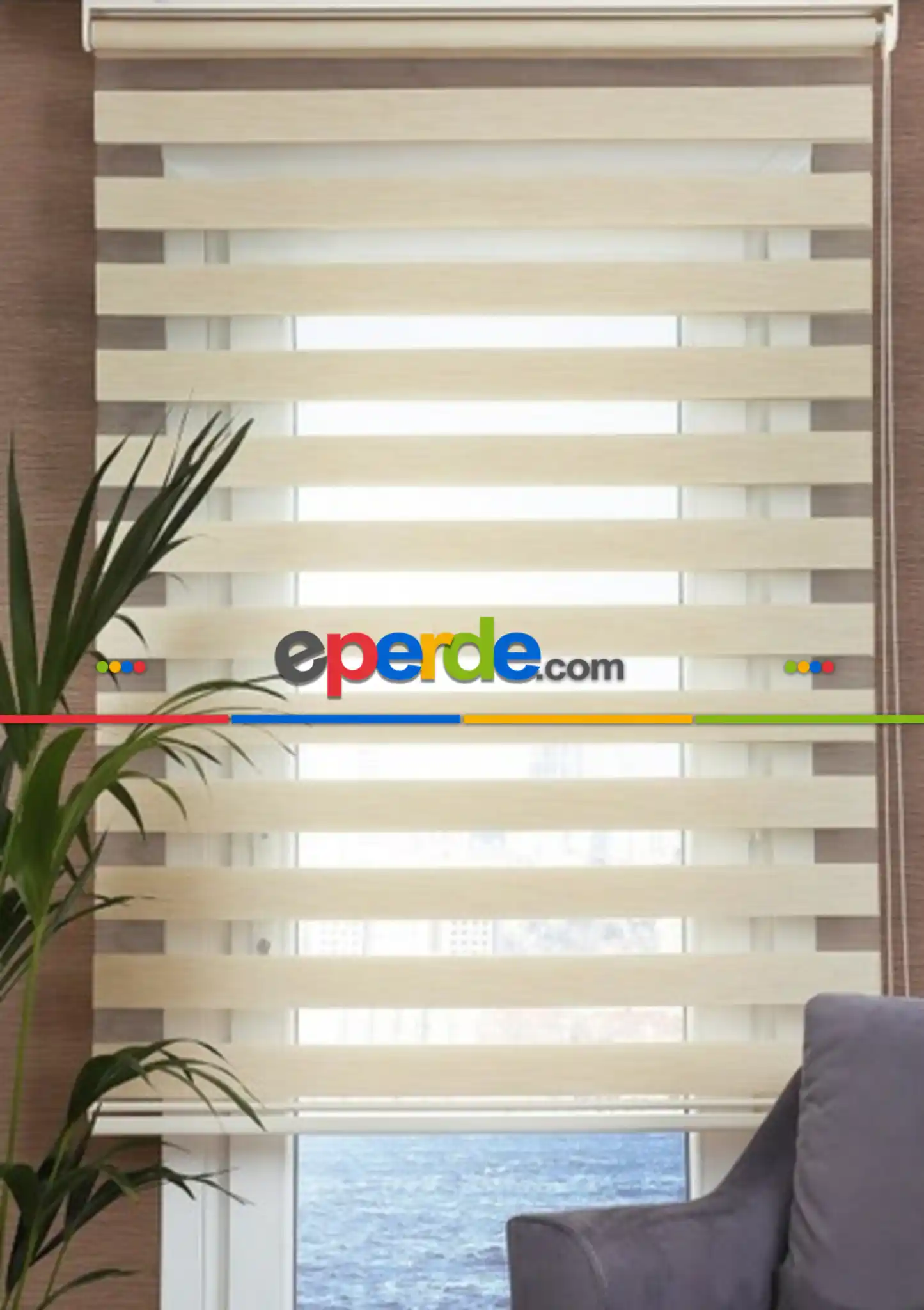 Zebra Krem Bambu- Krem