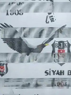 Genç Odası - Zebra Perde- Dijital Taraftar Baskılı Beşiktaş Zebra Perde- Siyah-beyaz