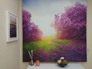 İlkbahar Temalı Doğa Manzaralı Baskılı Stor Perde 5 Kat Daha Canlı U.v. Baskı- Yeşil-Mavi-Mor