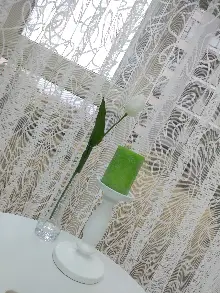 Oturma Odası - Salon Yatak Odası Fransız Dantel 2021 Tül Perde- Ekru