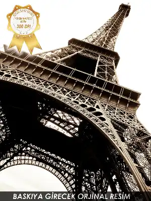 Paris Manzara Baskılı Genç Odası Zebra Perde- Siyah-Kahve