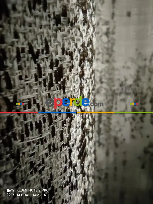 Jakarlı Fon Perde- Çok Renkli 2