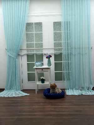 Turkuaz Düz Tül Kombinli Fon Perde Tül Stor Kod:14216- Turkuaz