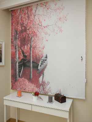 Manzara Desenli Dijital Baskılı Stor Perde- Diğer