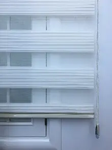 Genişpilelizebra- Krem Açık