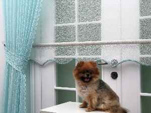 Turkuaz Düz Tül Kombinli Fon Perde Tül Stor Kod:14216- Turkuaz