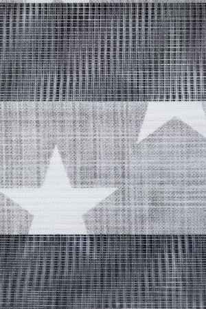 Trend Bebek - Çocuk - Genç Odası Zebra Perde Modelleri 2021- Gri Açık-ekru-su Yeşili