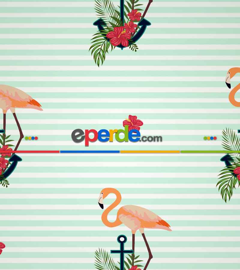 Çocuk Odası Stor Perde - Çapa Ve Flamingo Desenli Baskılı Stor Perde- Çok Renkli