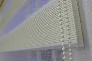 Micro Plise Zebra 2021- Krem