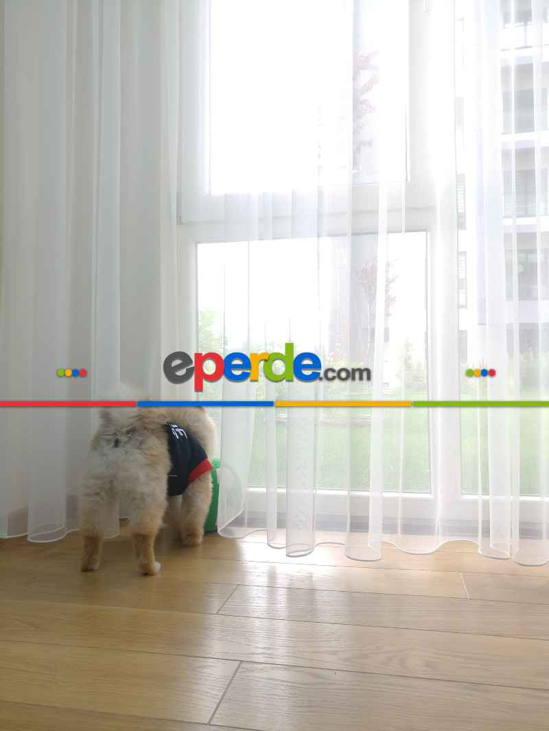 Mutfak - Naturel Zemin Düz Tül Perde - Ekru Renk Kırık Beyaz- Ekru