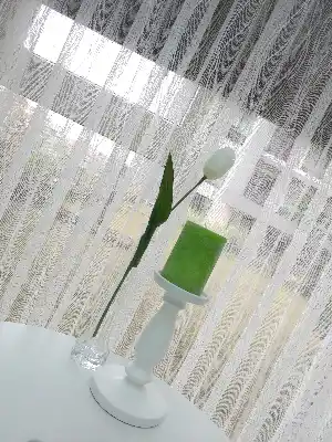 Salon Yatak Odası Fransız Dantel 2021 Tül Perde- Ekru