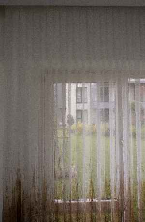 Modern Hardal Ve Mavi Desenli Degrade Geçişli Örme Tül Perde Yüksek Kalite