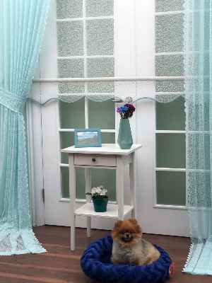 Turkuaz Düz Tül Kombinli Fon Perde Tül Stor Kod:14216- Turkuaz