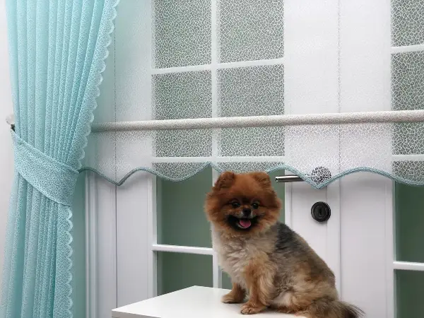 Turkuaz Düz Tül Kombinli Fon Perde Tül Stor Kod:14216- Turkuaz