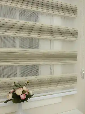 Salon Zebra Perde - Vizon Degrade Geçişli Plise Zebra Perde 2021 Elit- Krem
