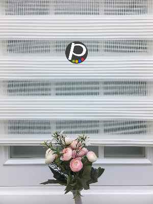 Dar Plise Zebra Perde - Krem- Krem