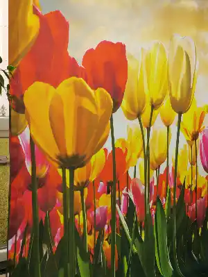 Lale Desenli Modern Fon Perde - Kırmızı Sarı Pembe Mavi-  Çok Renkli 2 160cm X 255cm 