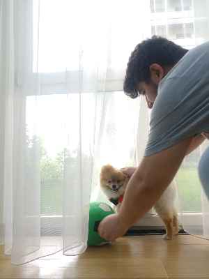 Hayal Perde Naturel Zemin Düz Tül Perde - Ekru Renk- Ekru - Kurşunlu Tül