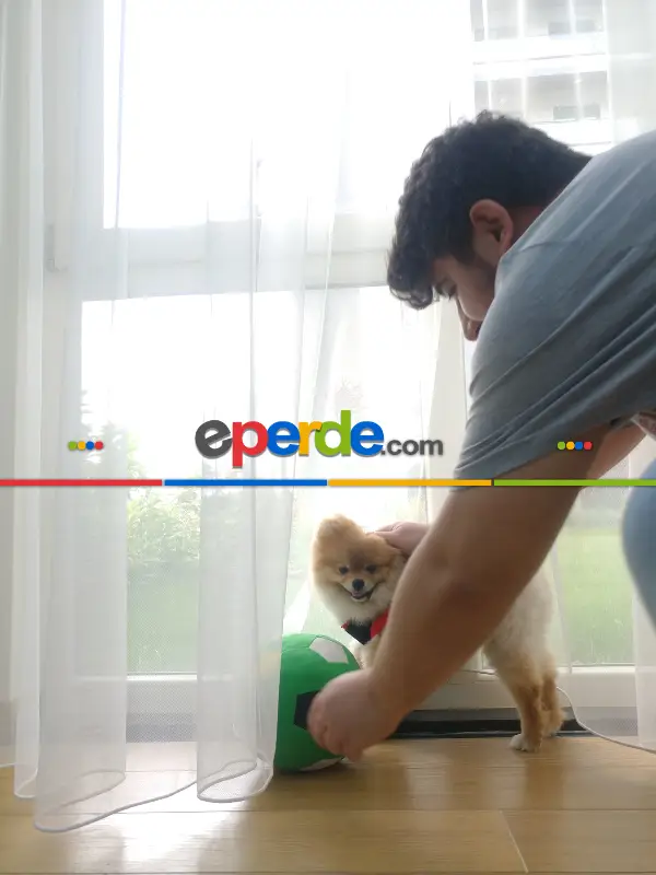 Hayal Perde Naturel Zemin Düz Tül Perde - Ekru Renk- Ekru - Kurşunlu Tül