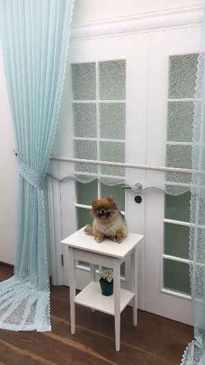 Turkuaz Düz Tül Kombinli Fon Perde Tül Stor Kod:14216- Turkuaz