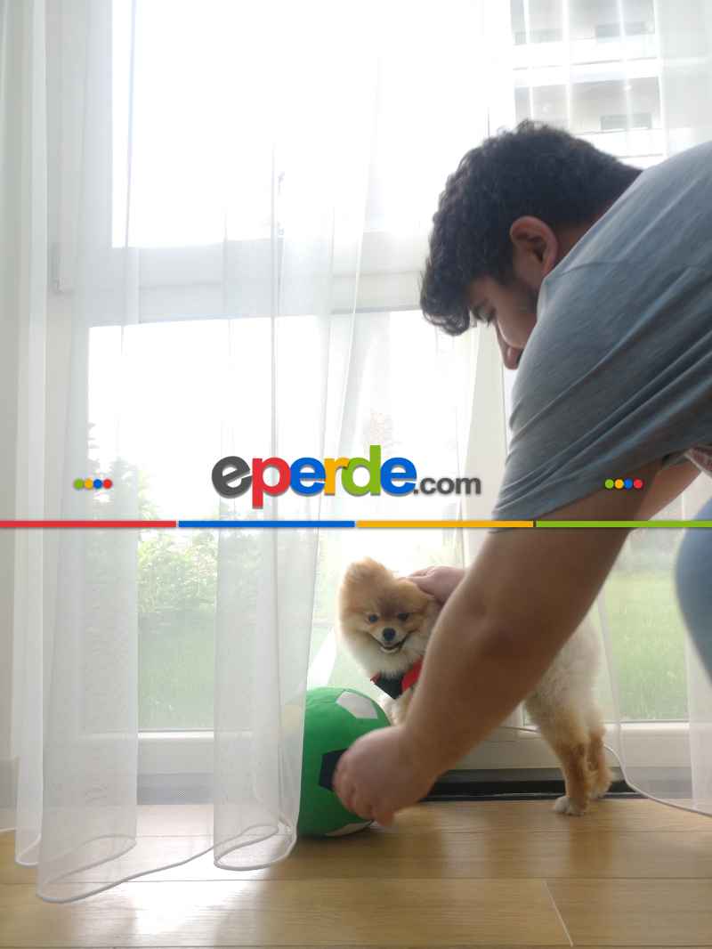 Mutfak - Naturel Zemin Düz Tül Perde - Ekru Renk Kırık Beyaz- Ekru