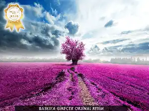 Mor Ağaç - Baskılı Zebra Stor Perde-  Çok Renkli 2