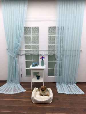 Turkuaz Düz Tül Kombinli Fon Perde Tül Stor Kod:14216- Turkuaz