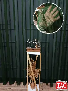 Yatak Odası - Taç Cemre Düz Örme Yeşil Kırışmaz Ütü İstemez Tül Perde