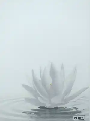 Lotus Çiçek Desenli Digital Baskılı Stor Perde-  Çok Renkli 3