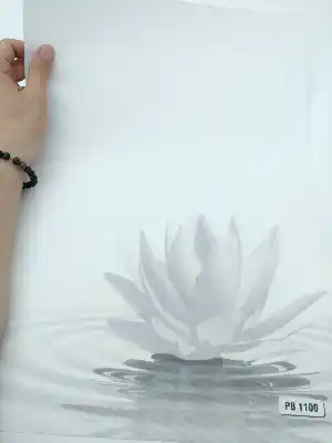 Lotus Çiçek Desenli Digital Baskılı Stor Perde-  Çok Renkli 3