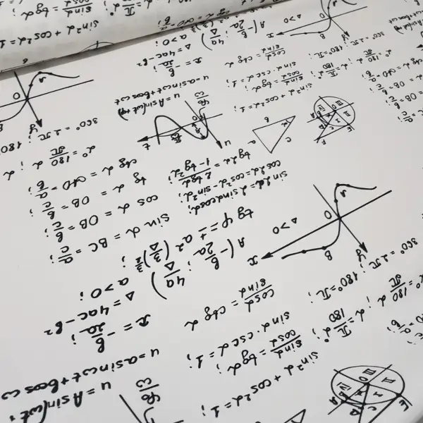 Matematik Formül Desenli Fon Perde Evm496 Kumaşı Kalındır Duck Bezi Değildir- Siyah-Beyaz