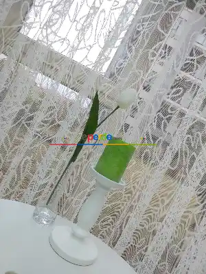 Fırsat Ürünü!! Hazır Ölçülü Spor Desen Fransız Dantel Modern Desenli Tül Perde