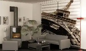 Paris Manzara Baskılı Genç Odası Zebra Perde- Siyah-Kahve