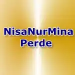 nisanurminanxnxnx